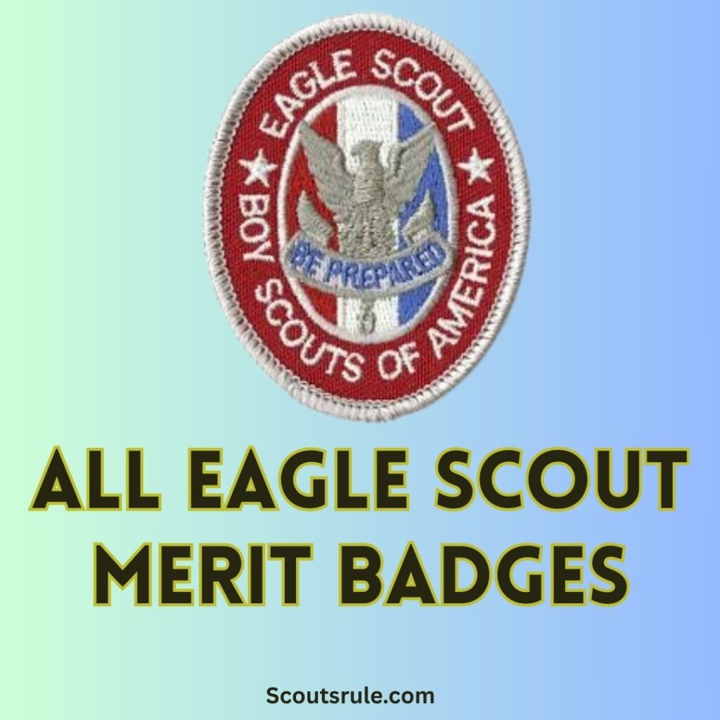 Scouting Journey from Cub Scout to BSA Rank - Scouts Rule