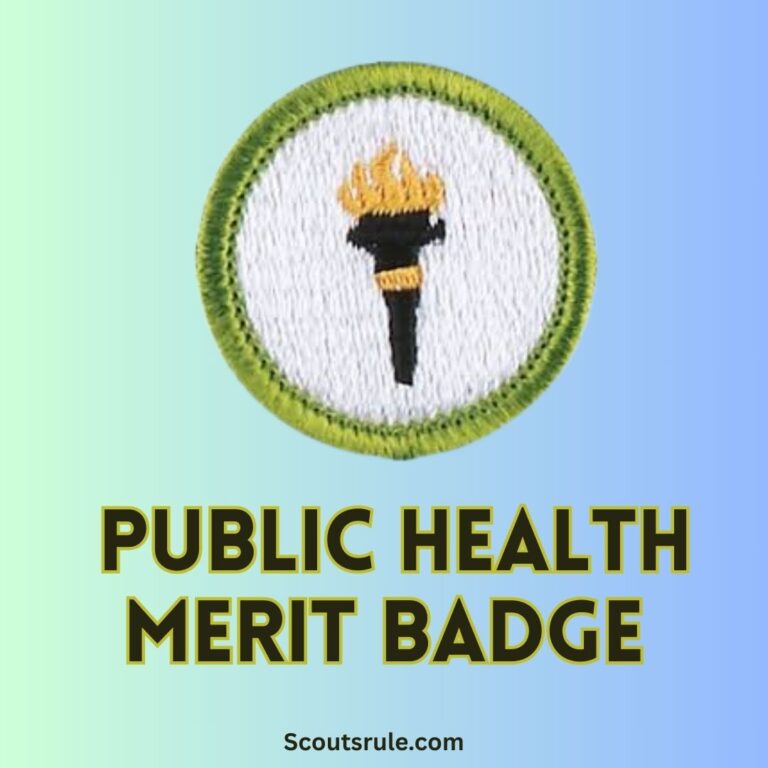 Public Health Merit Badge